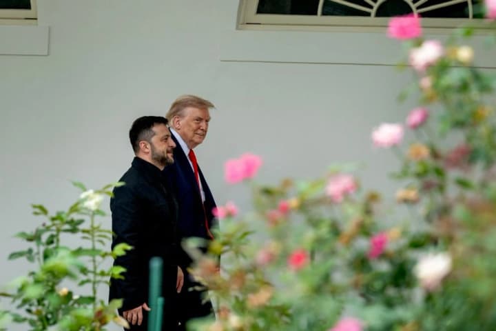 путину бросили вызов, ситуация зависит теперь от него: политолог о встрече Зеленского и Трампа