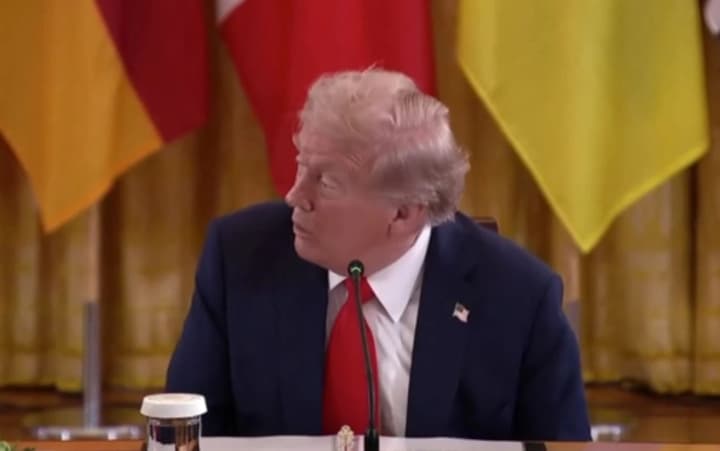 Конфуз у Білому домі: Трамп не зміг знайти президента Фінляндії, який сидів прямо перед ним