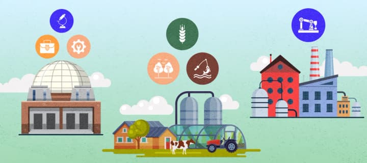 State enterprises earned over UAH 16 billion in profit in 2024: which industry was the most profitable?