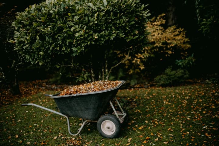 Beginning of the autumn season: what needs to be done in the garden and orchard
