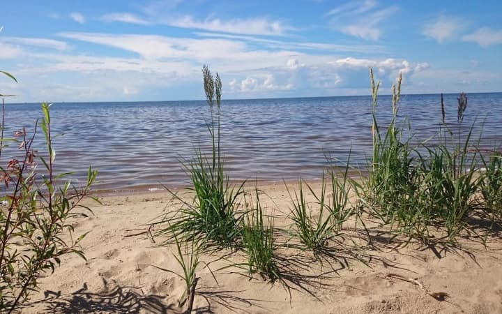 Drone exploded in Russia's Lake Peipus: Estonia tracked the object a few kilometers from its border