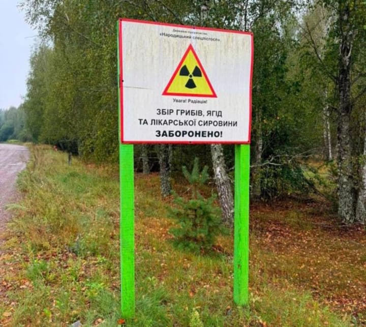 Sunflowers with radiation: a scheme for trading from "Chornobyl" lands uncovered in Zhytomyr region