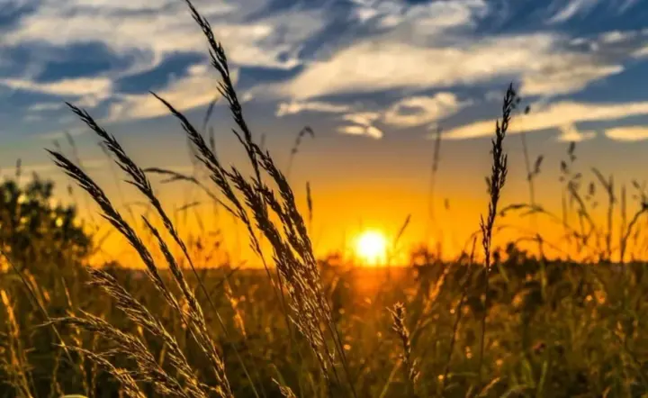 Україна завершить серпень як одна із найспекотніших країн Європи - метеорологиня