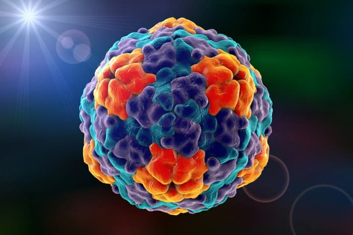 МОЗ: "Скоріш за все, що ми будемо стикатися з вірусним гепатитом А, але малоймовірно, що це будуть маштбні спалахи у великих містах"