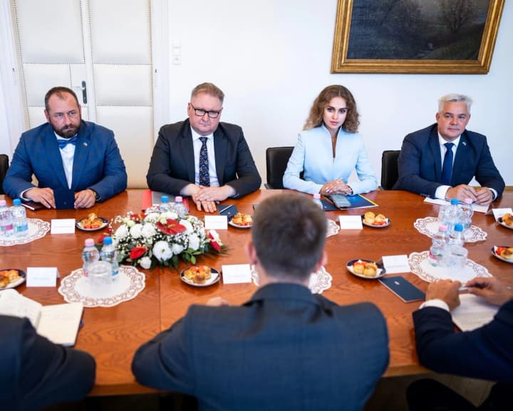 Vice Prime Minister Kachka discussed Ukraine's European integration with Hungarian officials