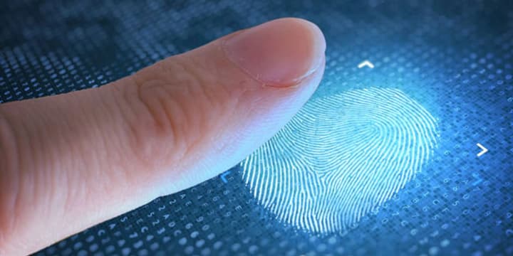 Міжнародний день відбитків пальців та Всесвітній день молитви про творіння: що ще відзначають 1 вересня