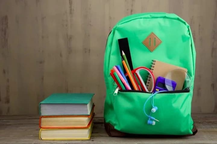 The "Schoolchild's Pack" program will be expanded: money will be allowed to be spent on books