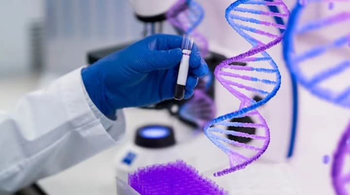 Збір ДНК українців в Іспанії для пошуку зниклих родичів: як записатись та скільки триватиме 