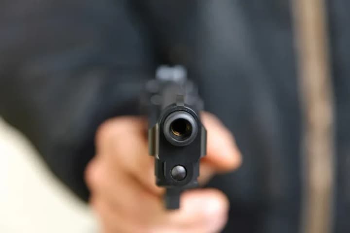 In Kyiv Oblast, a man shot a dog, the animal died: police launched an investigation