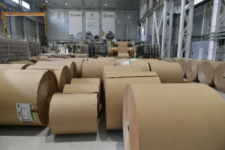 Paper business is burning out in Russia