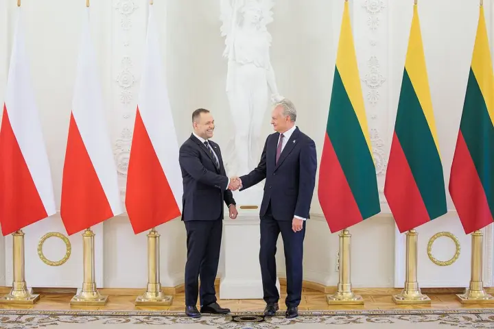 Навроцький заявив про "різні погляди" з Науседою щодо членства України в ЄС 