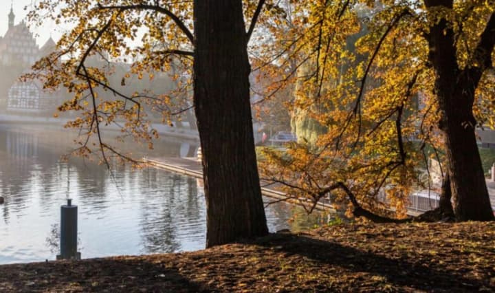 Beautiful autumn in most of Ukraine, but windy coolness in the west: Didenko on the weather on September 11