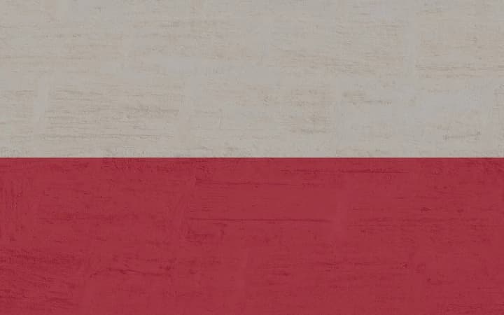 Вторгнення російських БПЛА у повітряний простір Польщі: Варшава скликала екстрене засідання Ради Безпеки ООН