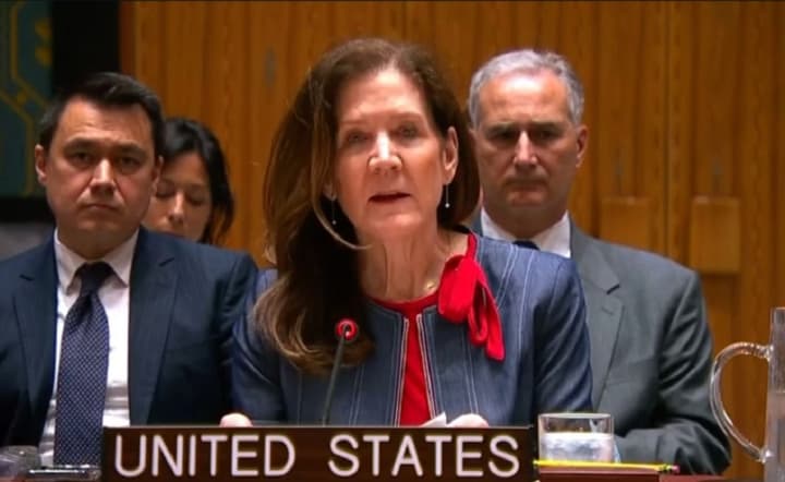 "Захищатимемо кожен сантиметр території НАТО": США під час Радбезу ООН