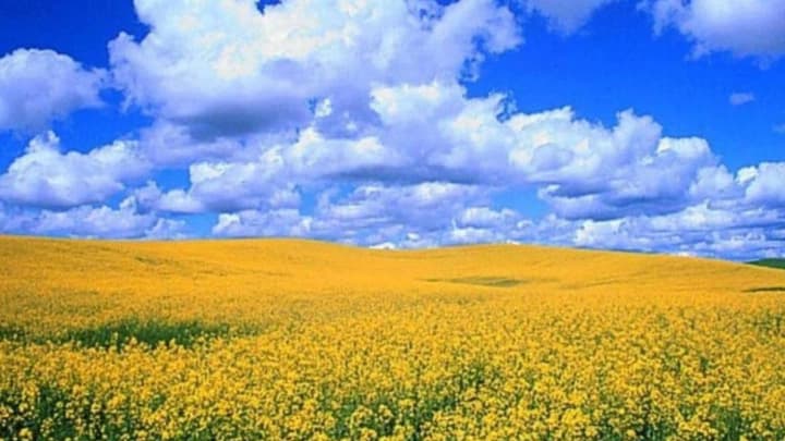 Variable cloudiness, no precipitation, only short-term rain in western Ukraine: weather forecast for September 14