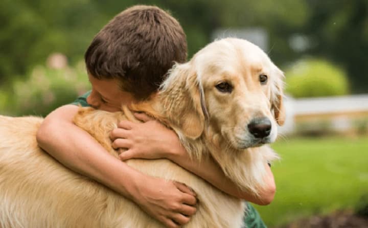 День "Обійми свого собаку" та День пам’яті жертв фашизму: що ще відзначають 14 вересня