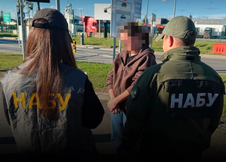 Продала комунальну землю на Закарпатті зі "знижкою" понад 80 млн грн: з Німеччини екстрадували обвинувачену