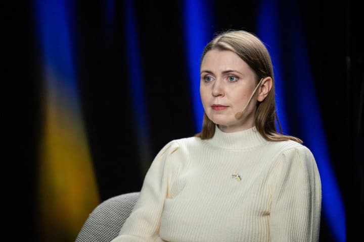 Lithuanian Defense Minister: Russian fighters in Estonian skies confirm necessity of NATO operation