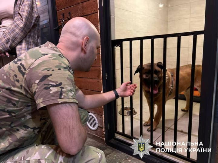 История столичного пса Миши получила продолжение: почему полиция пришла с проверкой в центр для животных