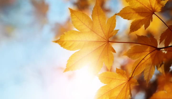 Невелика хмарність, без опадів: синоптики дали прогноз на 22 вересня
