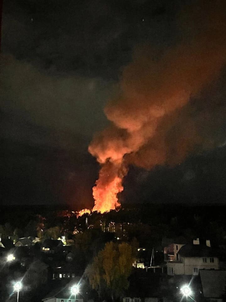 Масштабный пожар в российском зоопарке: погибли ламы и альпаки