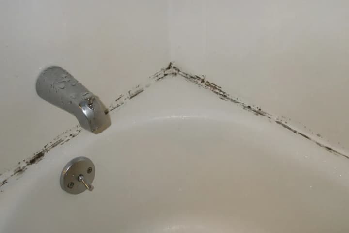 Mold in the bathroom: causes, removal methods, and prevention