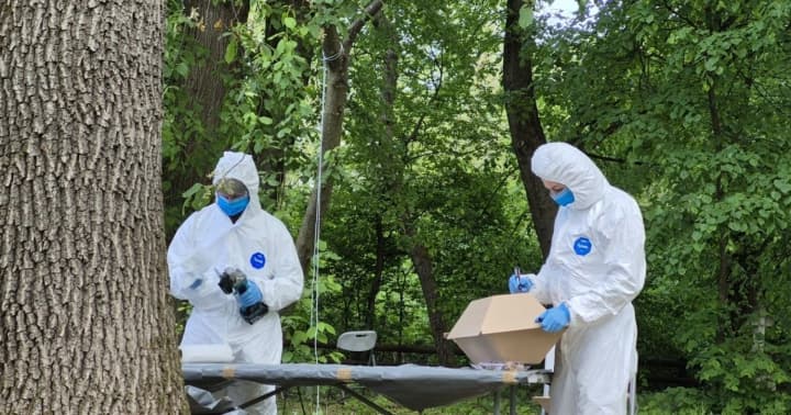 Ексгумаційні роботи у польському селі Юречкова розпочнуться 30 вересня - Мінкульт