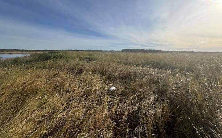 Fragments of an unknown drone found in Estonia