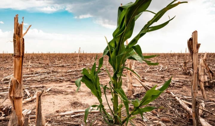 Європа зазнає збитків через екстремальну погоду: більш ніж удвічі зросли втрати, також деградує екологія - звіт