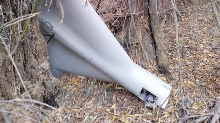 Румыния обнаружила очередной дрон РФ: фрагменты найдены в дельте Дуная