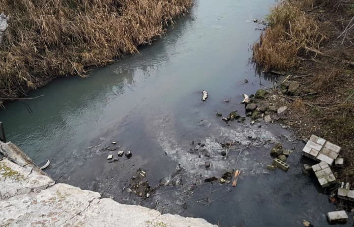Kalchyk River in Mariupol turned into a swamp due to sewage discharge - city council