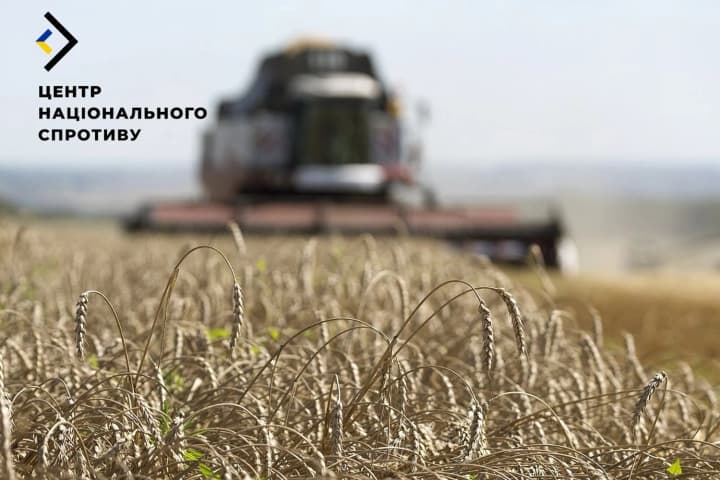 "Субсидии" на урожай как прикрытие для грабежа: на ВОТ Херсонщины оккупанты дотируют коллаборантов - ЦНС