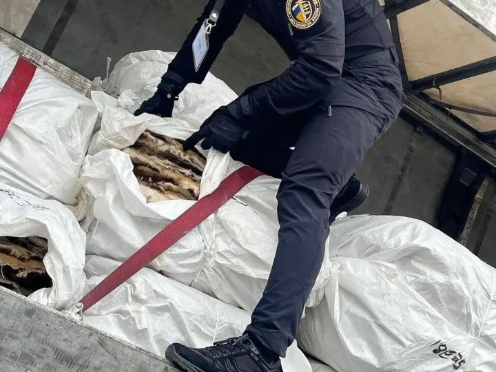 Concealed the customs value of fur, but as a result - lost UAH 10 million: entrepreneur burned trying to save money