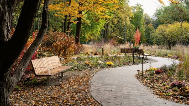 Публічний простір для психоемоційного відновлення: у Києві відкрили Терапевтичний сад 