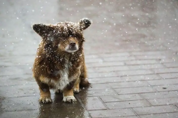 Rains will sweep across Ukraine, with wet snow expected in the west: weather forecast for October 19