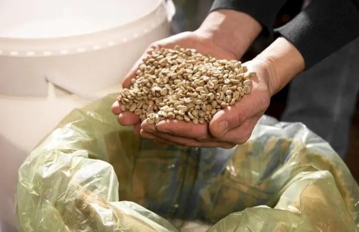 Обсяги виробництва агропродукції в Україні знизилися на 14% - Держстат