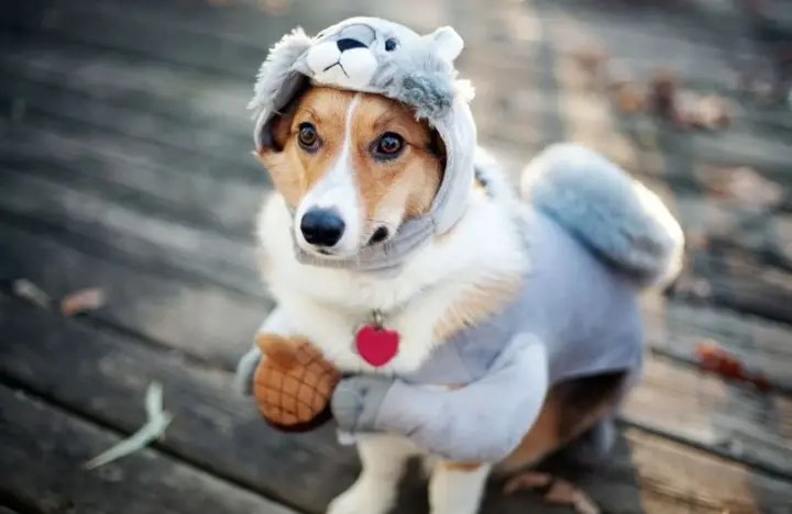 Украину 21 октября накроет холодный атмосферный фронт: где ожидать дожди и заморозки