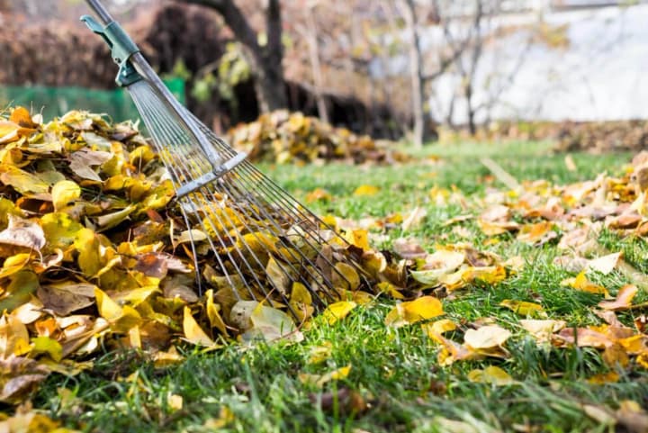 Warm and almost no precipitation: what the weather will be like in Ukraine on October 23