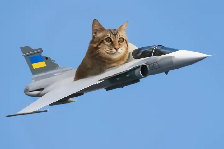 Swedish Embassy originally reacted to the news about the transfer of Gripen fighters to Ukraine