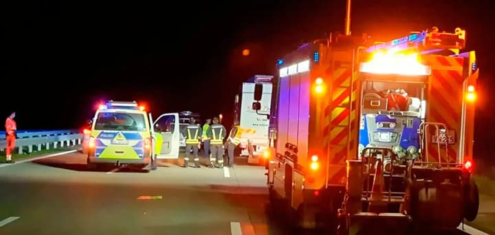 ЄС посилює правила контролю за водійськими посвідченнями, щоб зменшити смертність на дорогах