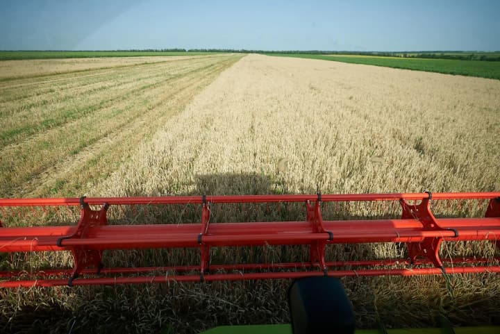 Жатва-2025: Украина уже собрала урожай с 76% полей