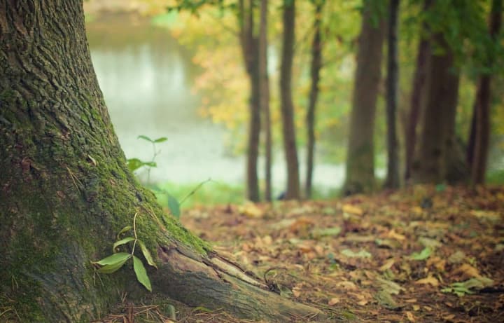 После солнечного понедельника Украину накроет похолодание и дожди с 4 ноября, а Киев ожидает +10 градусов