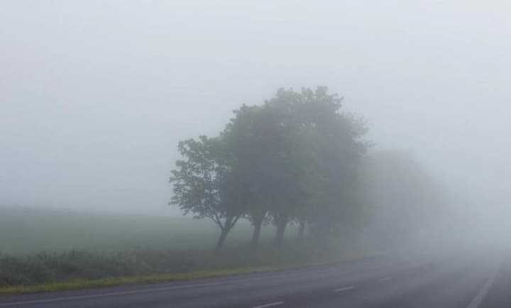 Спокойно, без ветра и осадков – прогноз погоды на 6 ноября от Диденко