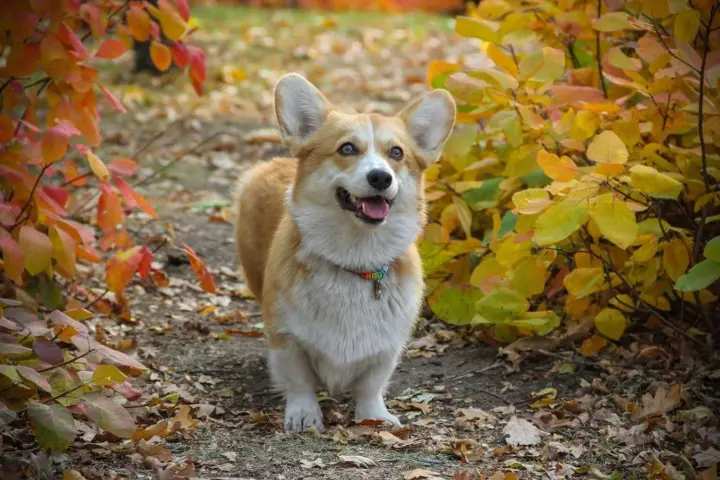 Warm, but with occasional rain: weather forecast for November 8