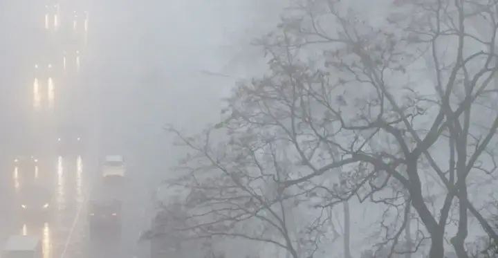 Туман накриє більшість регіонів України 10 листопада: видимість знизиться до 200 метрів