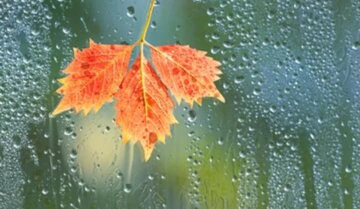 В четверг в Украине будет преобладать пасмурная погода, прояснения возможны только на западе