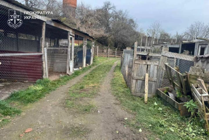 Из вольера частного центра в Хмельницком сбежали две львицы: прокуратура начала уголовное производство