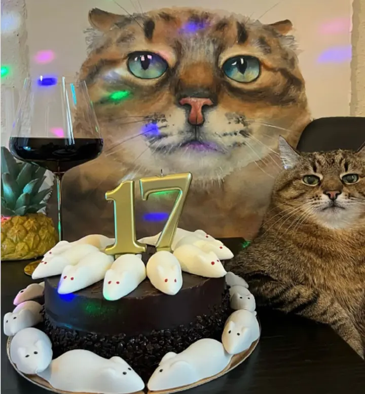 Legendary cat-blogger Stepan celebrates 17th birthday