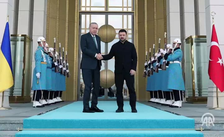 Erdogan and Zelenskyy's meeting has begun in Turkey