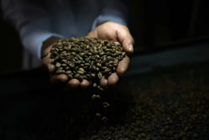 Мировые цены на кофе резко снизились после отмены пошлин Трампом – Reuters